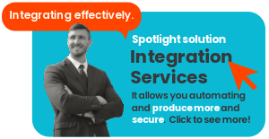 Integration Services